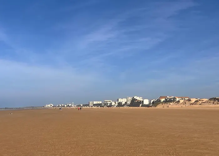 Appartement A 100 M De La Plage St Hilaire De Riez Les Becs