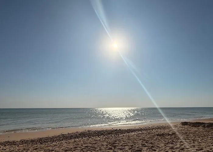 Appartement A 100 M De La Plage St Hilaire De Riez Les Becs