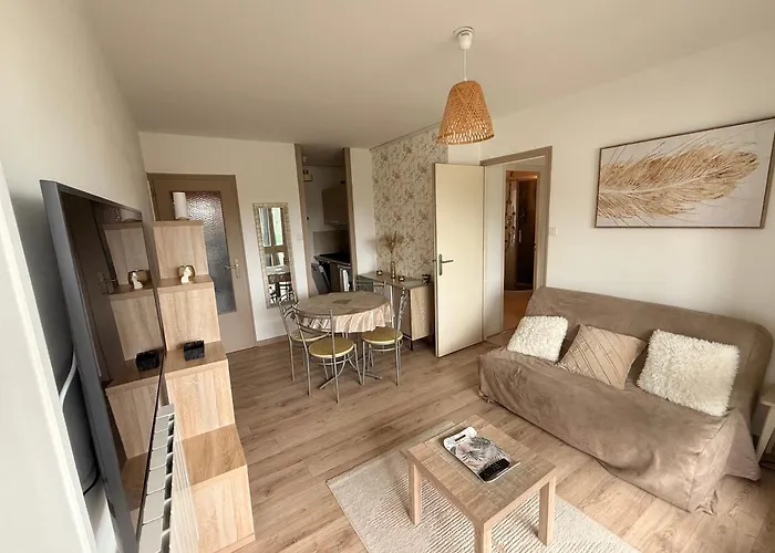 Appartement A 100 M De La Plage St Hilaire De Riez Les Becs